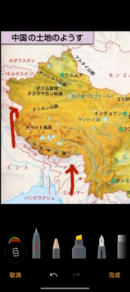 土豆牛腩骑士 tweet media