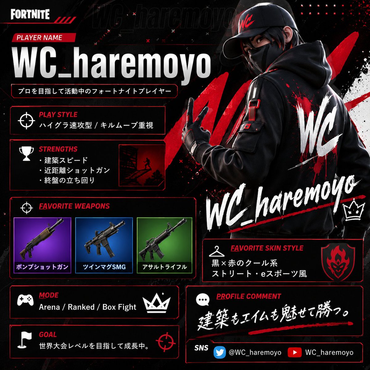 Wc_SKB's_ハレモヨウ tweet media