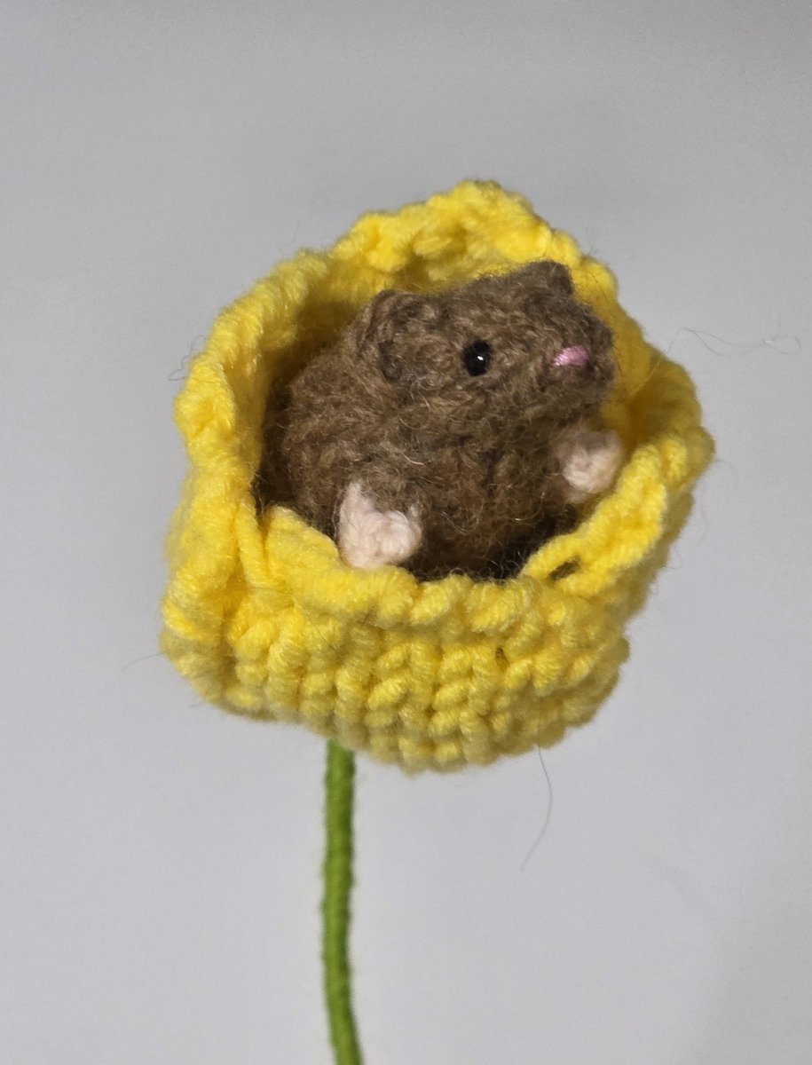 하다ʕ·-·ʔ ฅ 🧶 tweet media