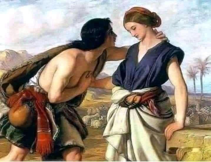 سامر يوسف عوّاد🍯 tweet media