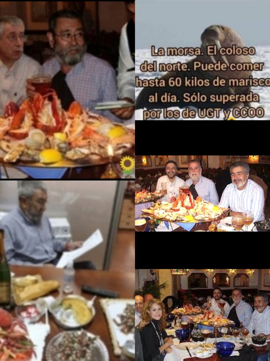 Siscu. tweet media