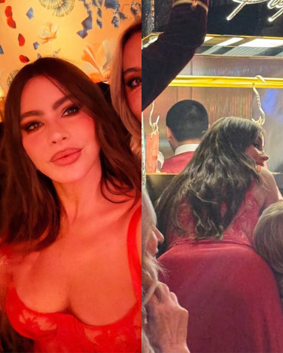 sofia craves tweet media