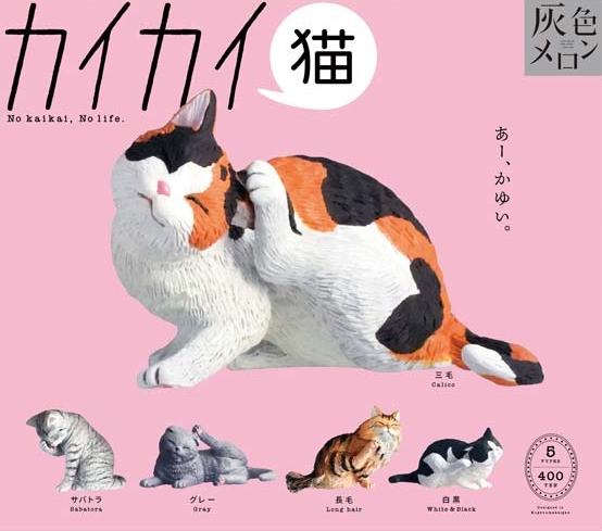 がちゃぽんぽん tweet media