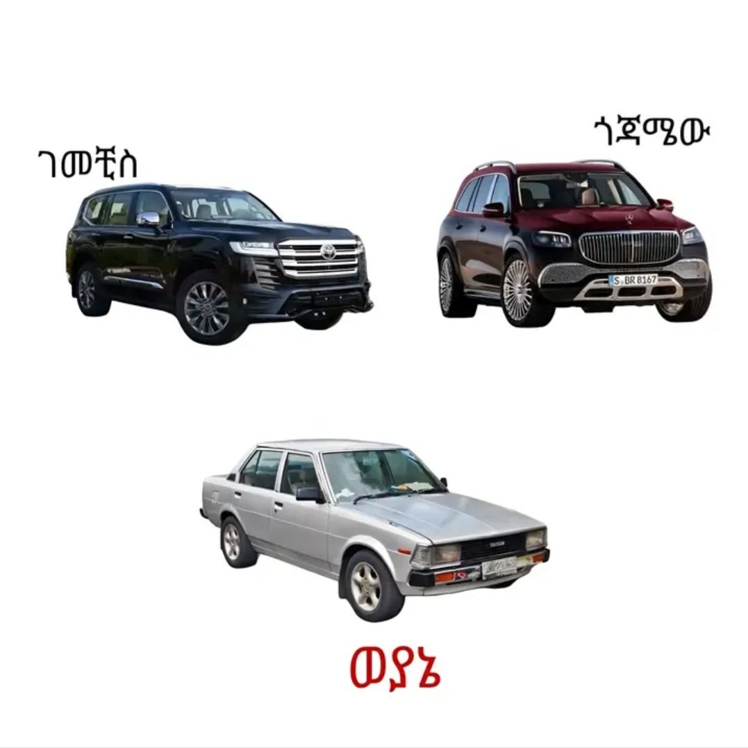 ናቲ tweet media
