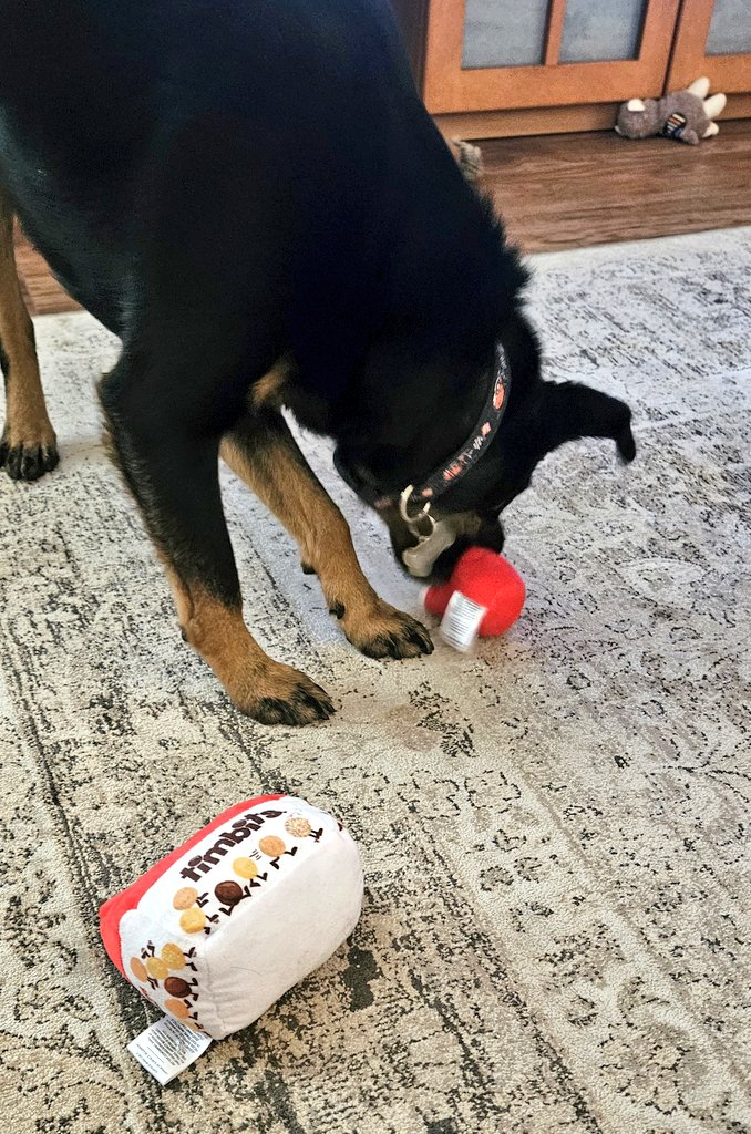 CanadianPenny1's tweet photo. I got new Tim Hortons toys ๐
#timbits #doubledouble https://t.co/hQtVg6VqUu
