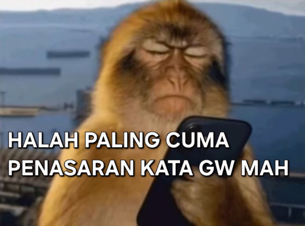 wupi tweet media