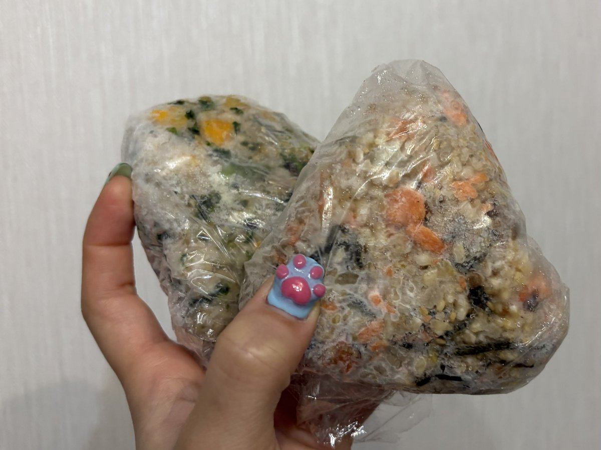 Rinninger_bbb's tweet photo. 朝は鮭&amp;塩昆布にぎりとチュモッパもどき、昼はケータリング、夜はハニーマスタードサラダとオニオンスープを食べました。今日は40分間歩いたり走ったりしました。これから揉みほぐして寝ます。痩せないけど運動も禁酒も続いていて長生き出来そうです。 https://t.co/9e9RrNVST7