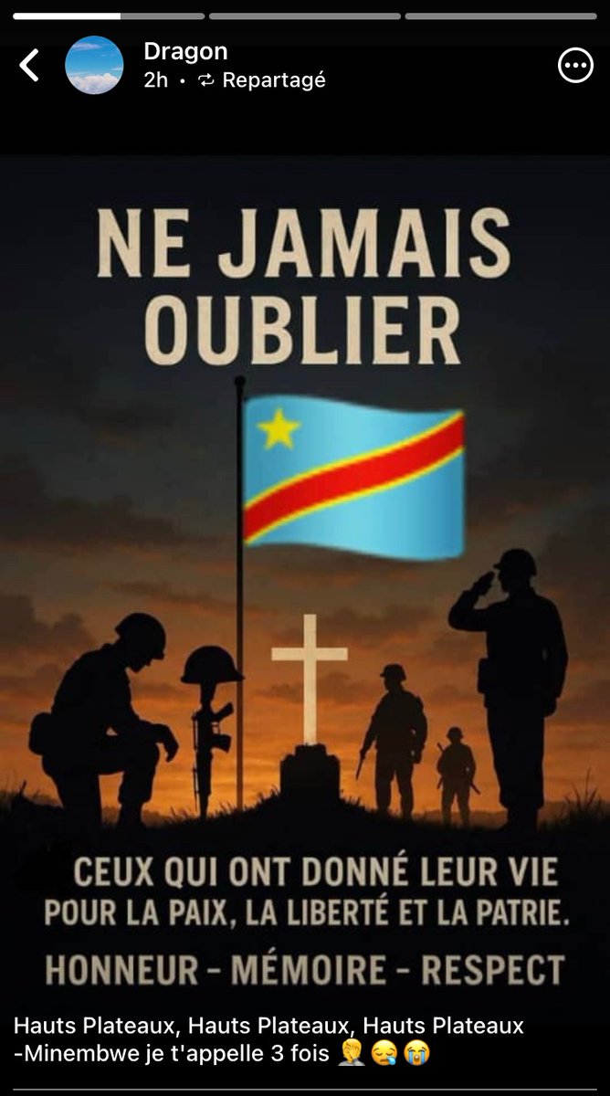 stg task 🇨🇩🐆 Remontada tweet media