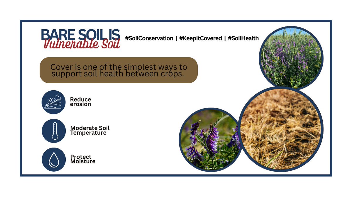 soilcouncil's tweet photo. Soil Cover acts like armour. Residue and living plants help shield soil from wind, water, heat, and erosion.
#KeepItCovered #SoilHealth #SoilConservation https://t.co/bqjq7suCVi