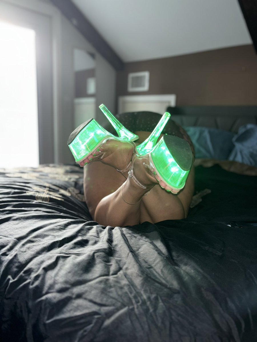 TiippyToess's tweet photo. Should I run the green back for my Florida to North Carolina trip??

LMK something 🍀 

📸:@Orlandofeet407 https://t.co/6kUlvmvY1J