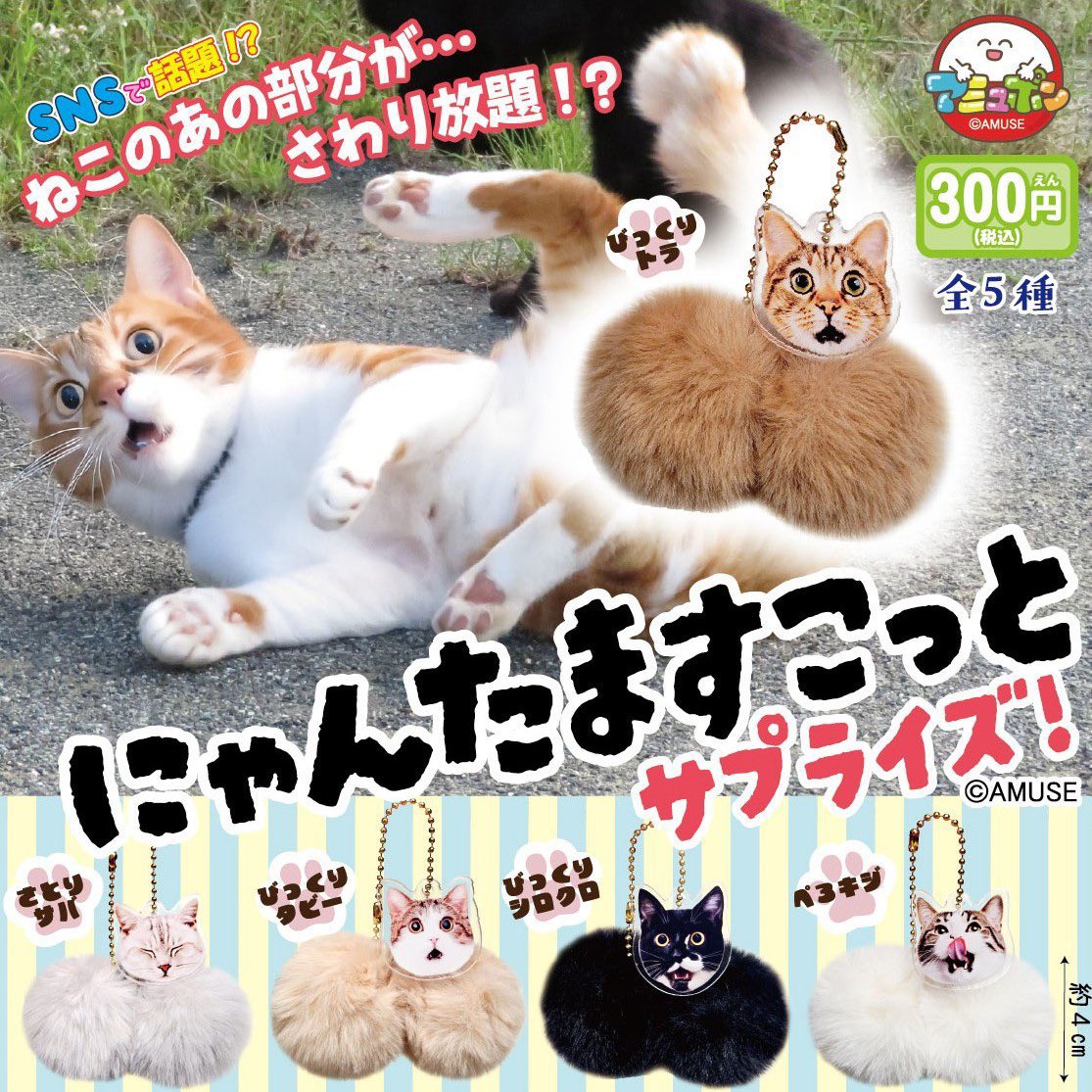 Post by あや on X: にゃんたま