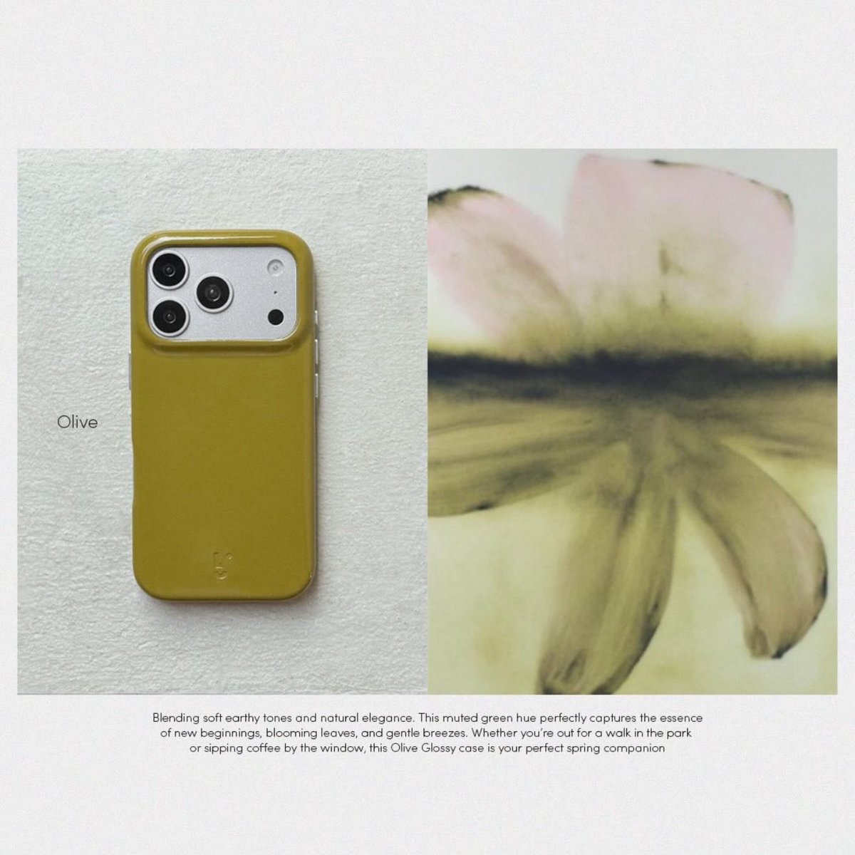 daisy bloom tweet media