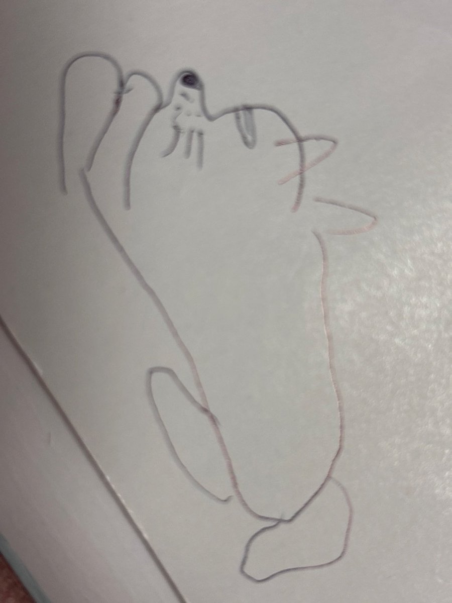 麻生真里 tweet media