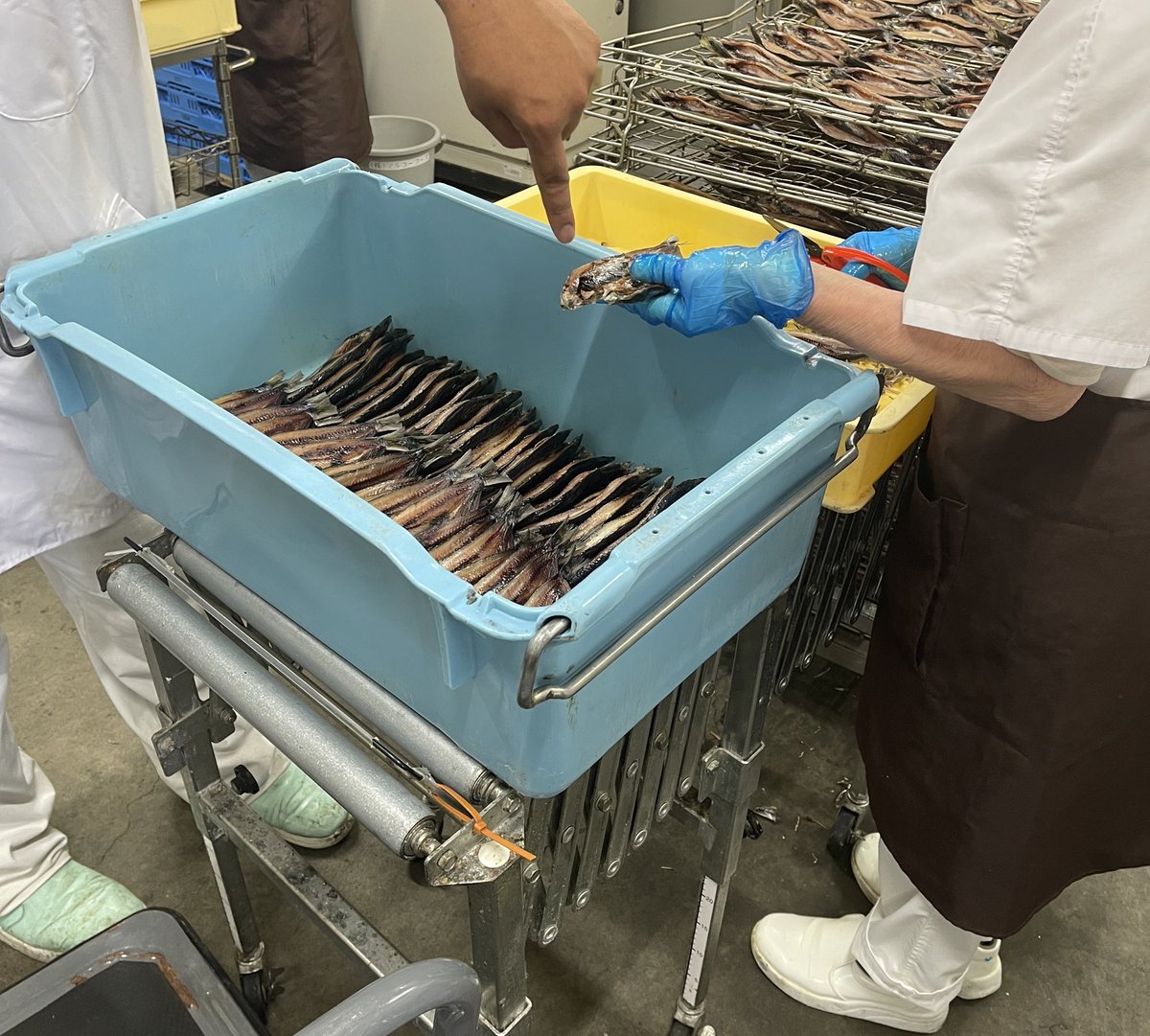 ueharazemi's tweet photo. こんばんは！五十嵐水産チームです！🐟
本日は、株式会社五十嵐水産の工場を訪問し、干物の製造現場を見学しました。社長さんから素材選びや加工へのこだわりを直接伺い、沼津の干物の魅力や今後の展開について学ぶ貴重な機会となりました。
これから1年間よろしくお願いします！ https://t.co/4zIY9enfJS