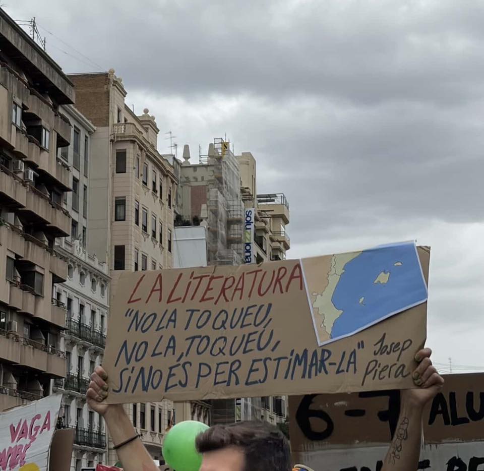 Maria Josep Escrivà tweet media