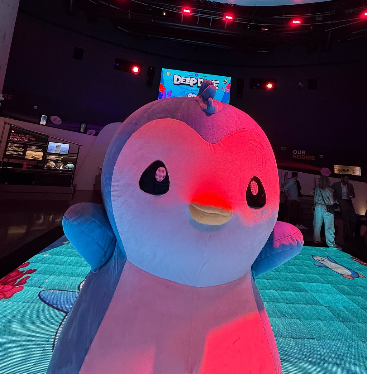pp 🐧 tweet media