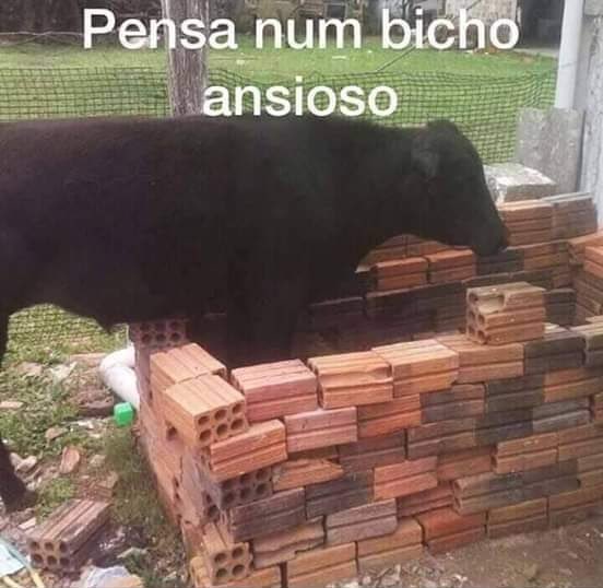 maycon tweet media