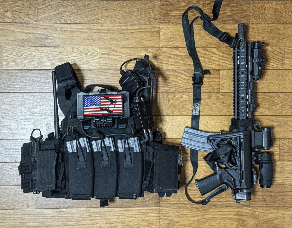 とりがー🇺🇸USSS CAT FUN🐈‍⬛🐾 (@shizuokap_17) / Posts / X