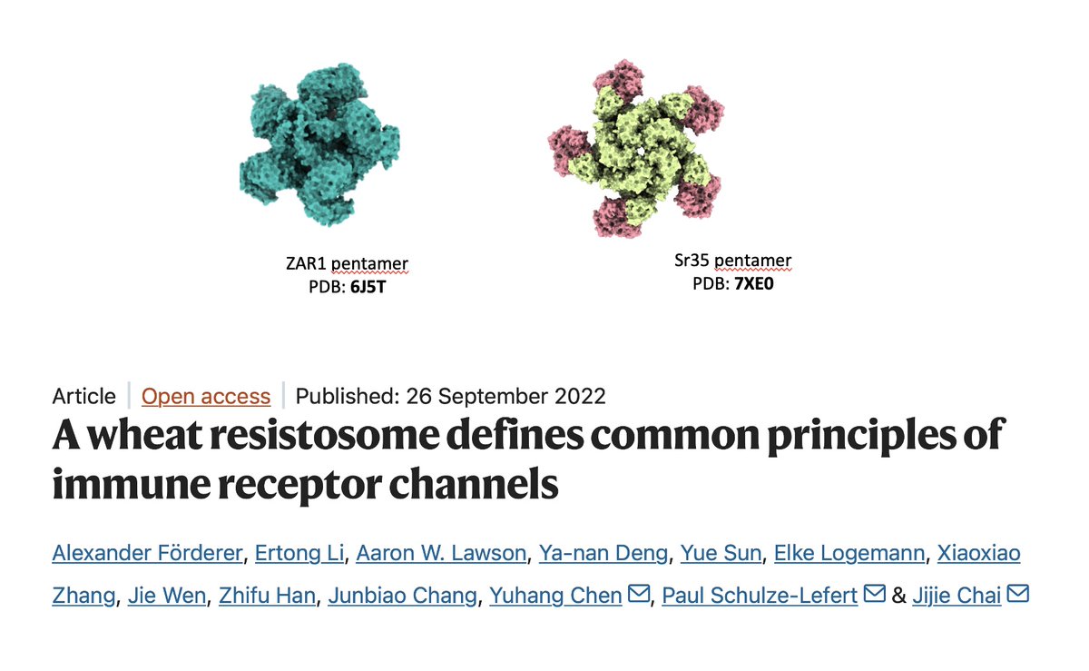 KamounLab's tweet photo. The title of this 3.5-year-old paper has not aged well.
They go to eleven!
#NLRbiology #pentamers #hexamers #octamers #undecamers #whatevermers #spinaltap https://t.co/x2gvAUGbPq