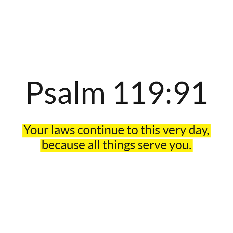 Jesus Insight tweet media