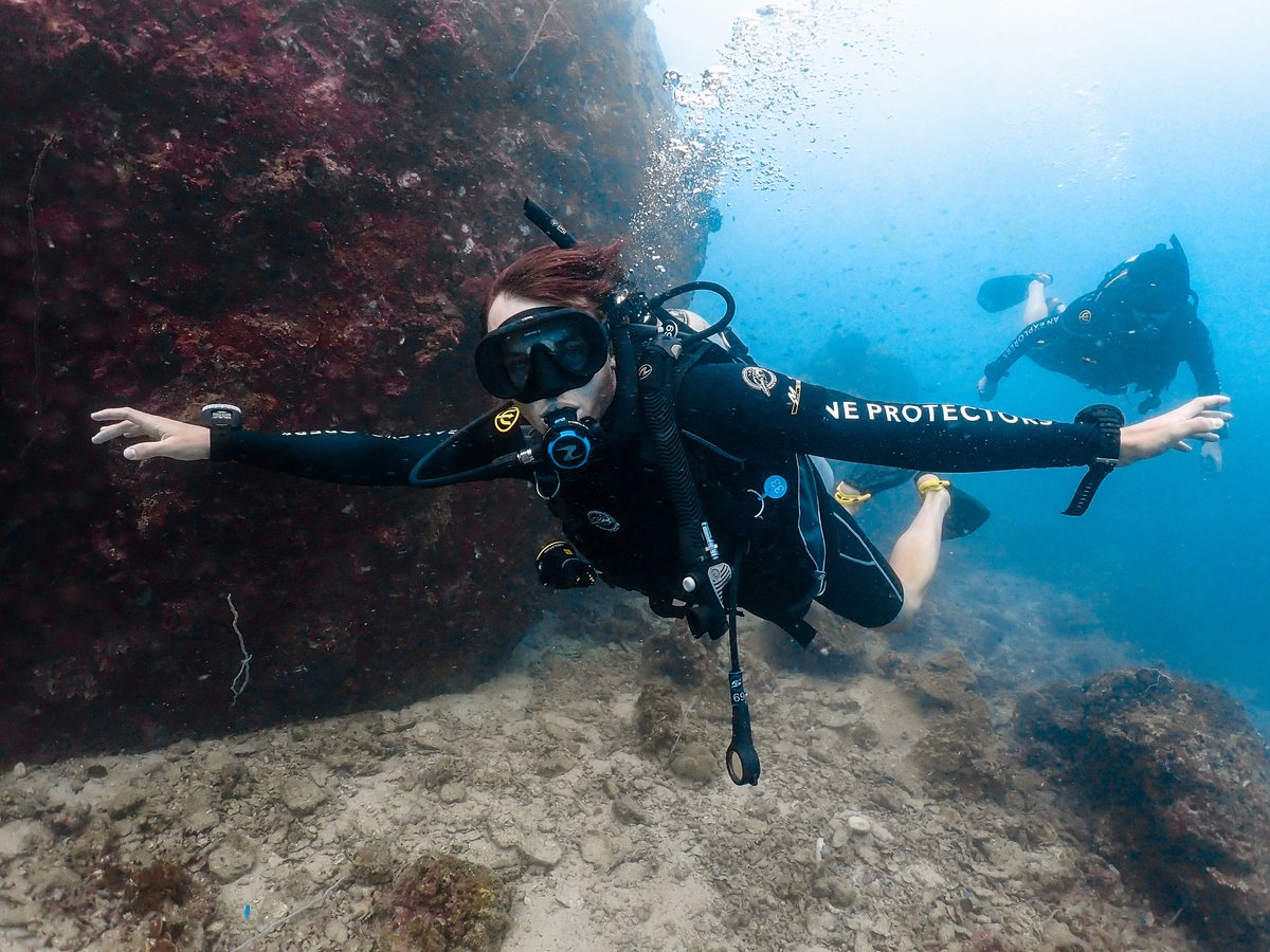blackturtledive's tweet photo. Koh Tao provides all this and more at a variety of dive sites ranging from shallow coral reefs, located within the island’s beautiful bays, to deeper outlying granite pinnacles. https://t.co/L6Ys3vi6yL #fundive #kohtao #thailand #scuba #travel https://t.co/34tCvmy8PB