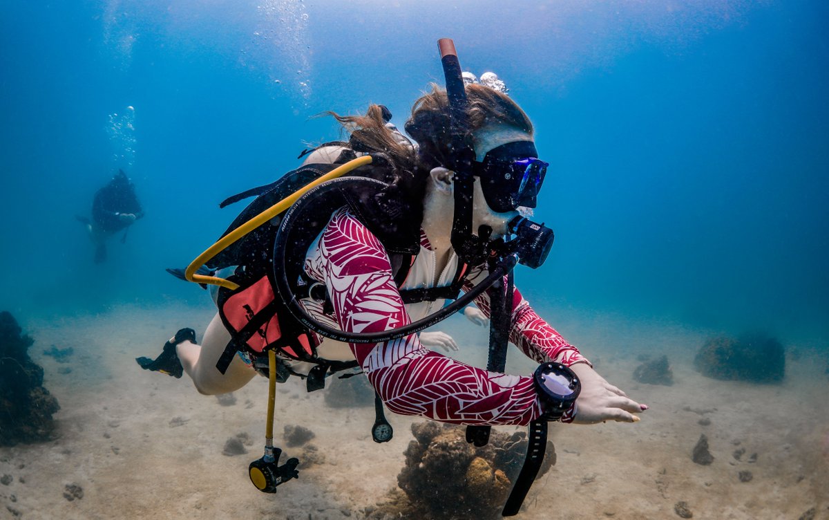 blackturtledive's tweet photo. Koh Tao provides all this and more at a variety of dive sites ranging from shallow coral reefs, located within the island’s beautiful bays, to deeper outlying granite pinnacles. https://t.co/L6Ys3vi6yL #fundive #kohtao #thailand #scuba #travel https://t.co/34tCvmy8PB