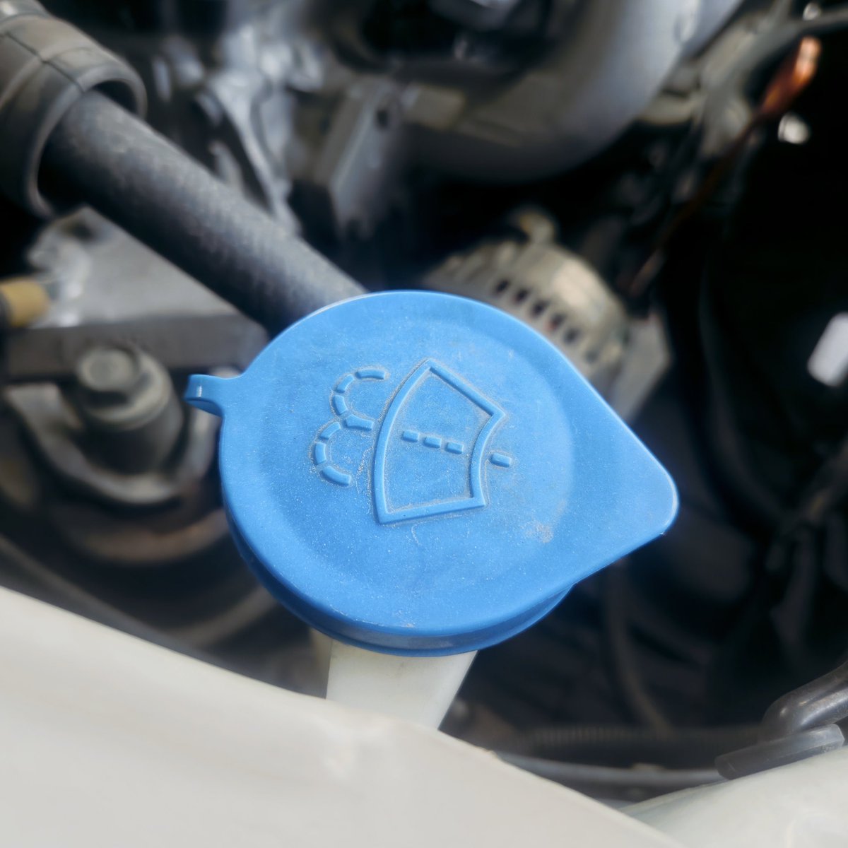 themufflermanCA's tweet photo. Road spray, pollen, dust, and bugs can make a clean windshield harder to maintain. Keep your windshield wiper fluid topped up so you are ready for changing spring driving conditions.

#themufflerman #carmechanic #localmechanic #autoparts #autorepair #cartires #springdriving https://t.co/L0vPbbRffh