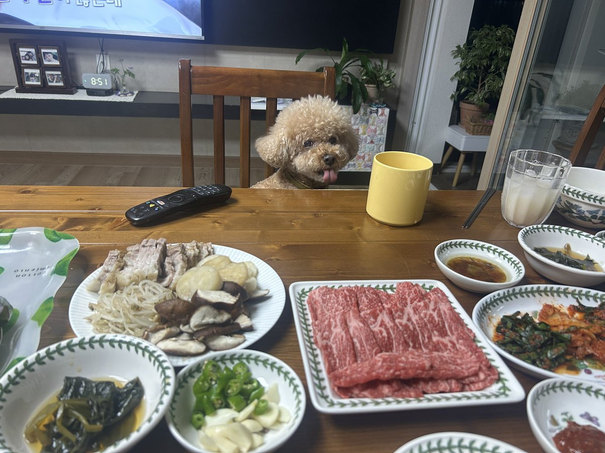 아치 tweet media