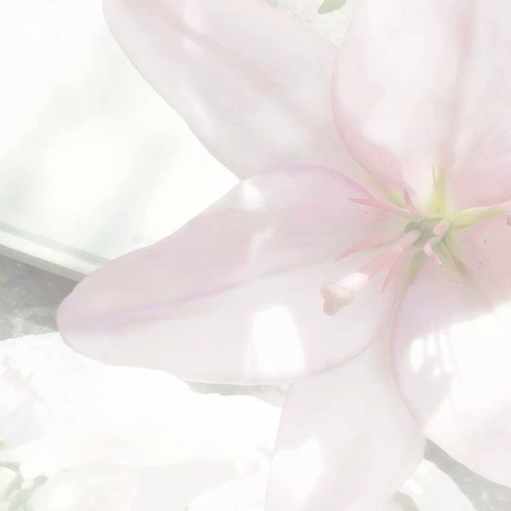 sawako of edtwt tweet media