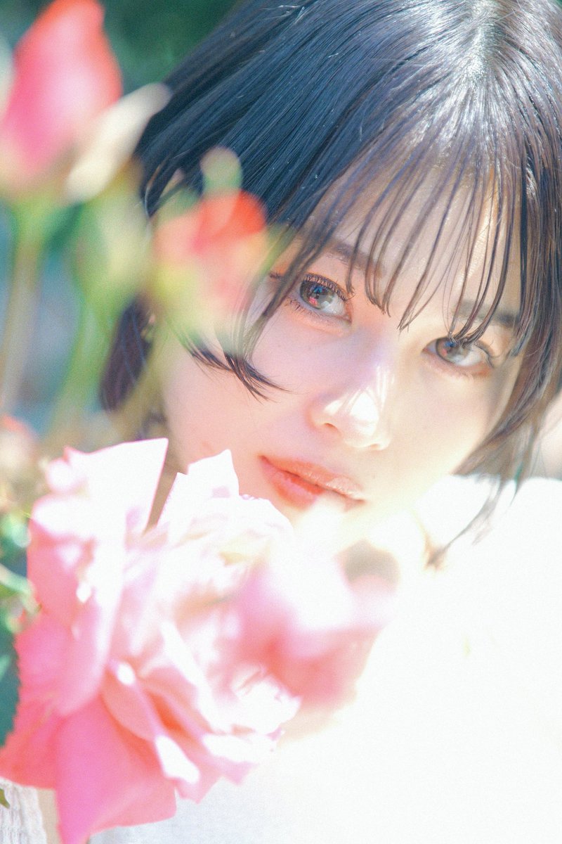 HOSHIMI_PHOTO's tweet photo. 🌹 https://t.co/W7U4rtLVOU
