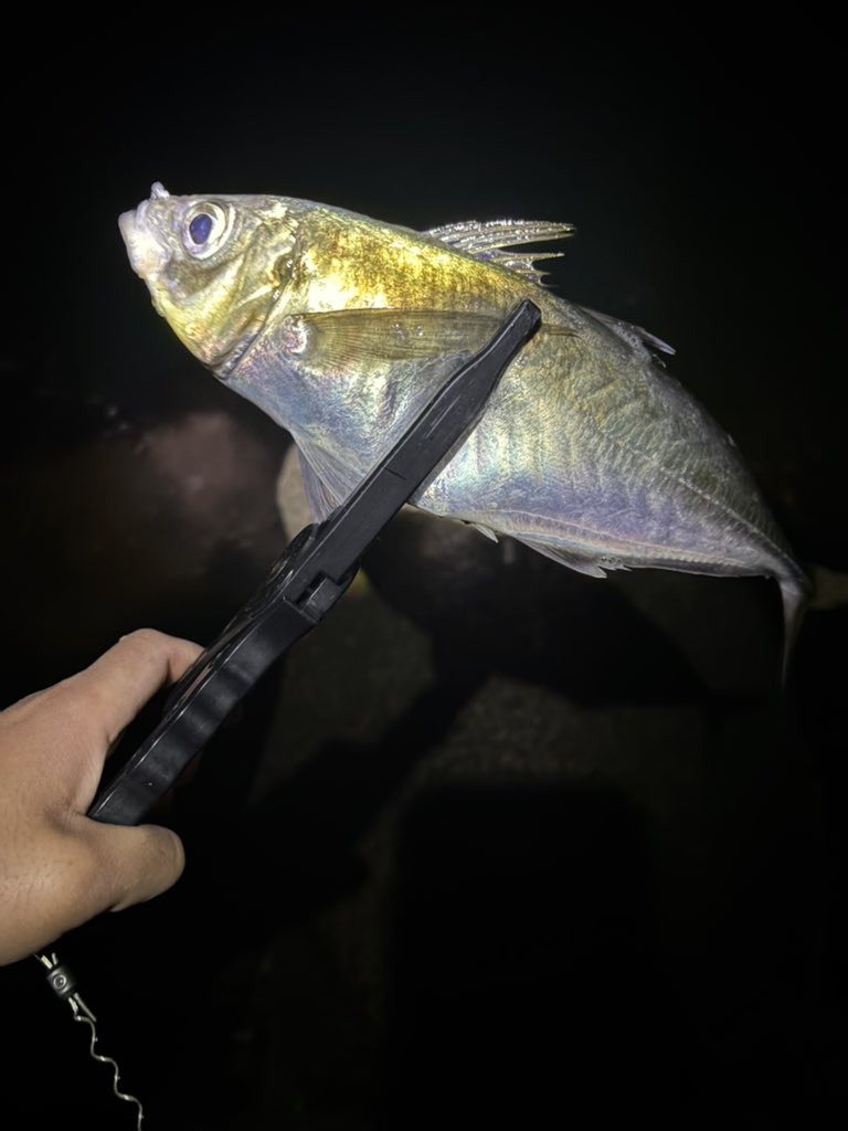 takei_ws's tweet photo. 仕事終わりフィッシング🎣スタート！ https://t.co/4WxqTYszwK