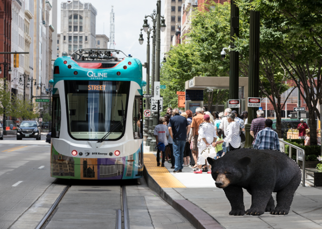 Transit Guide: Detroit tweet media