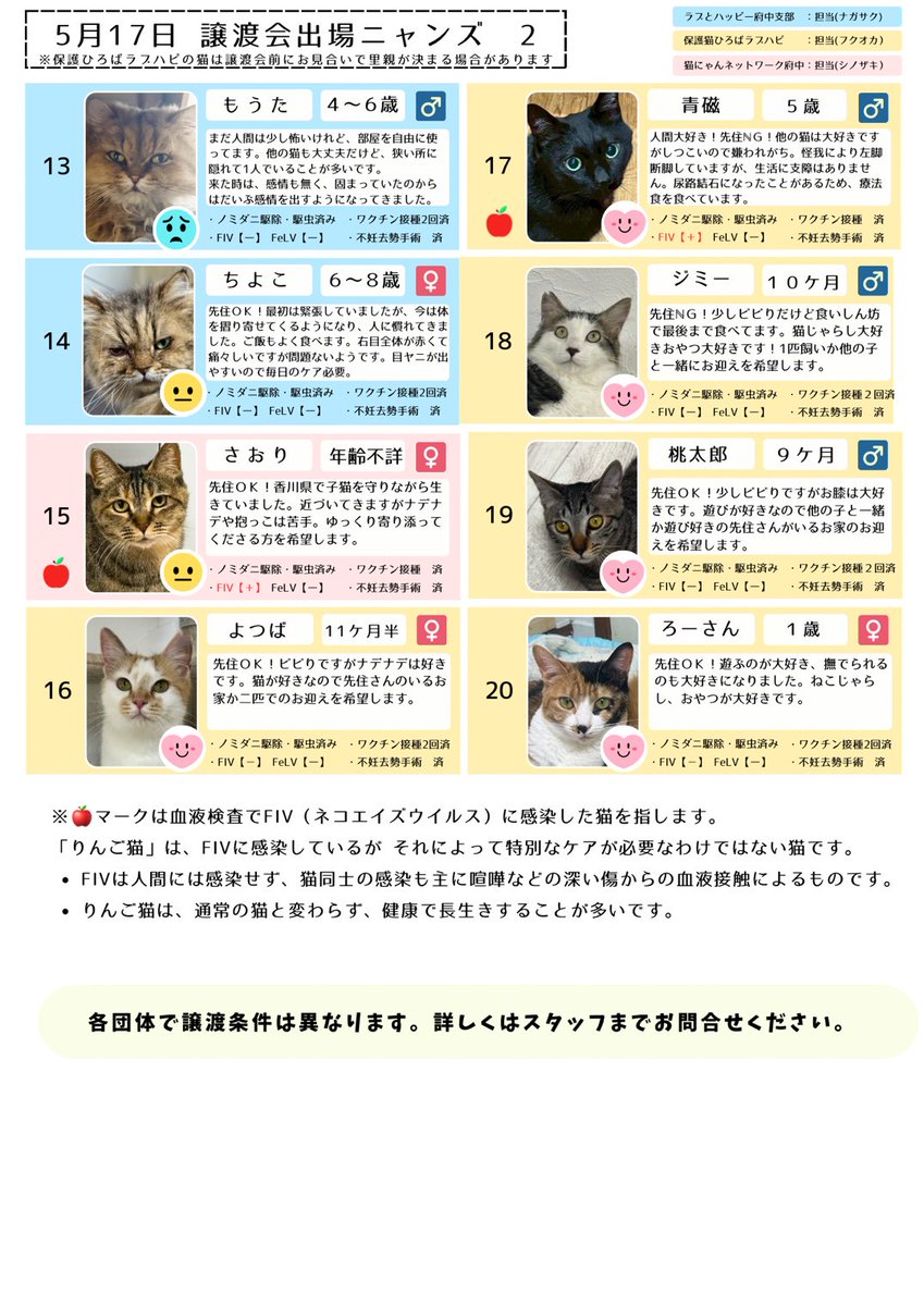 ラブとハッピー府中@里親募集中 tweet media