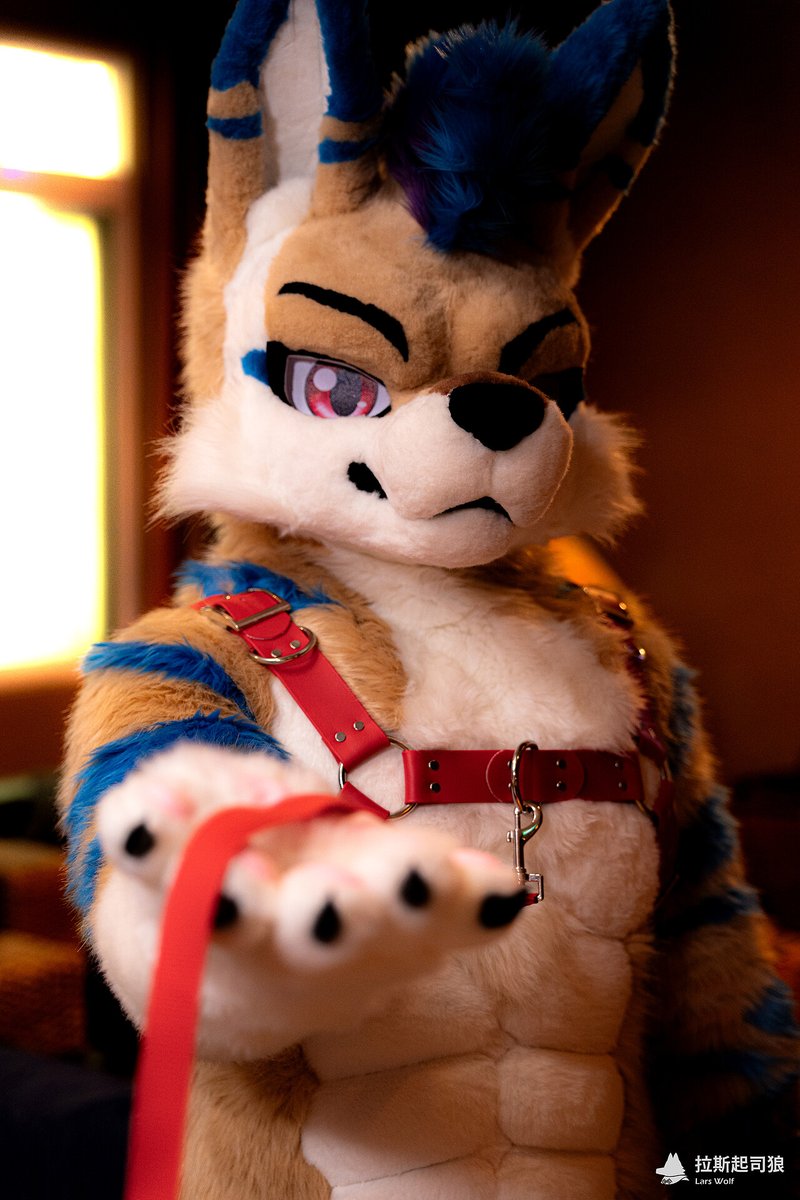 kangaroohaoting's tweet photo. I'm so sexy ❤️‍🔥🦘
-----
📷： @LarsHagrid
🪡： @magichxh 
#FursuitFriday #Fursuit https://t.co/dlPS2kEdyp