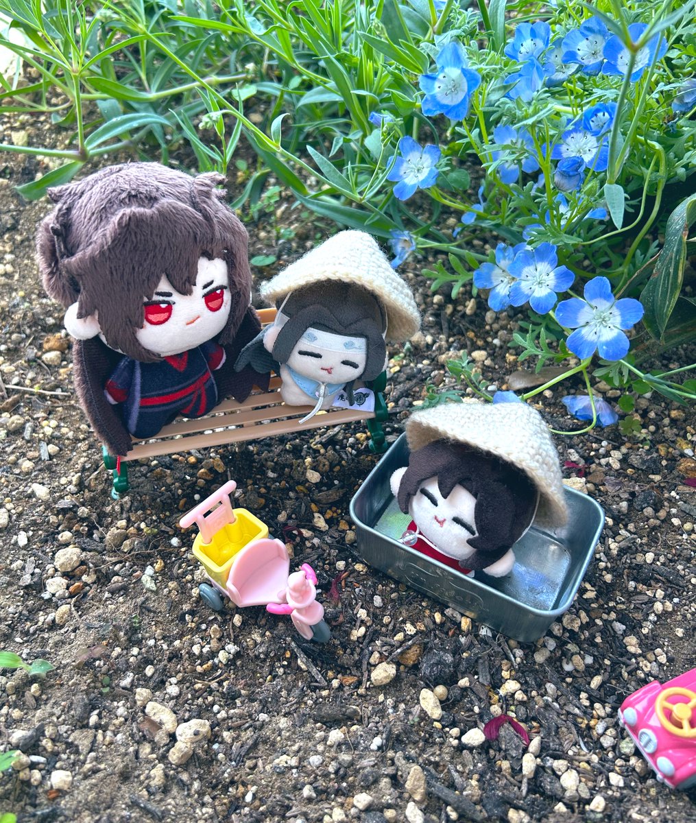 ゆ tweet media