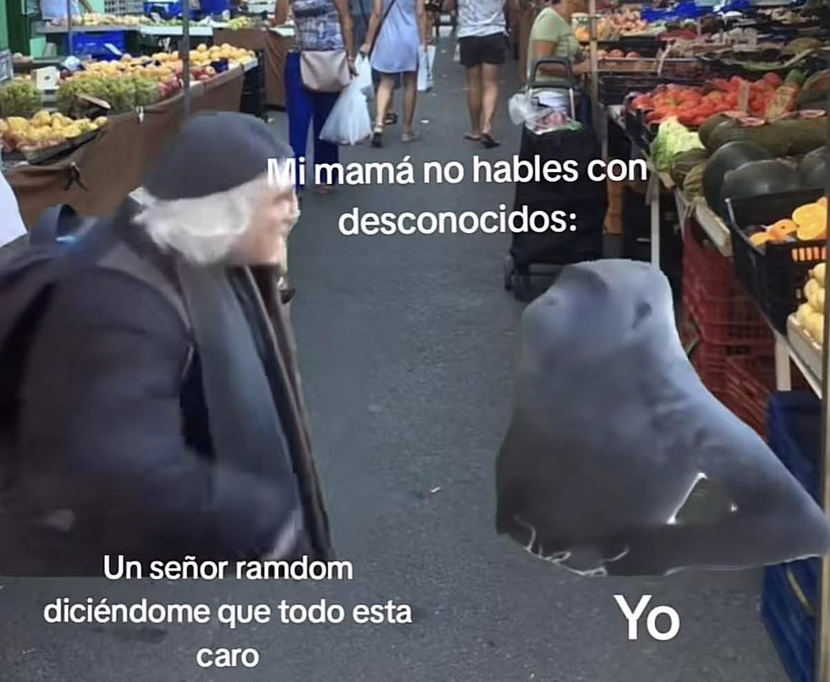 Sanchez Lo A tweet media