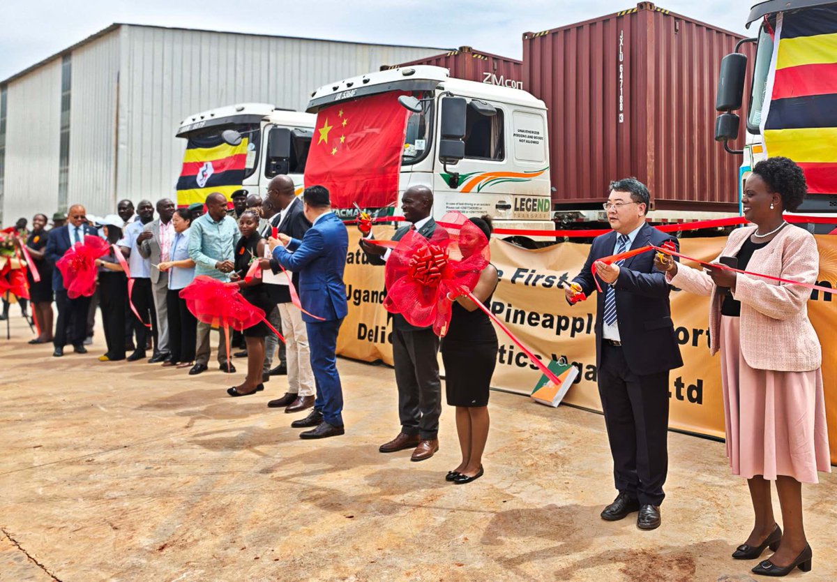 AfricanIBR's tweet photo. The first consignment of processed pineapples from Uganda has been shipped to China.

Both Uganda and China are committed to supporting value addition to Ugandan agricultural products.
https://t.co/bpNVZCQe2p https://t.co/QqmXZ5Oi4z