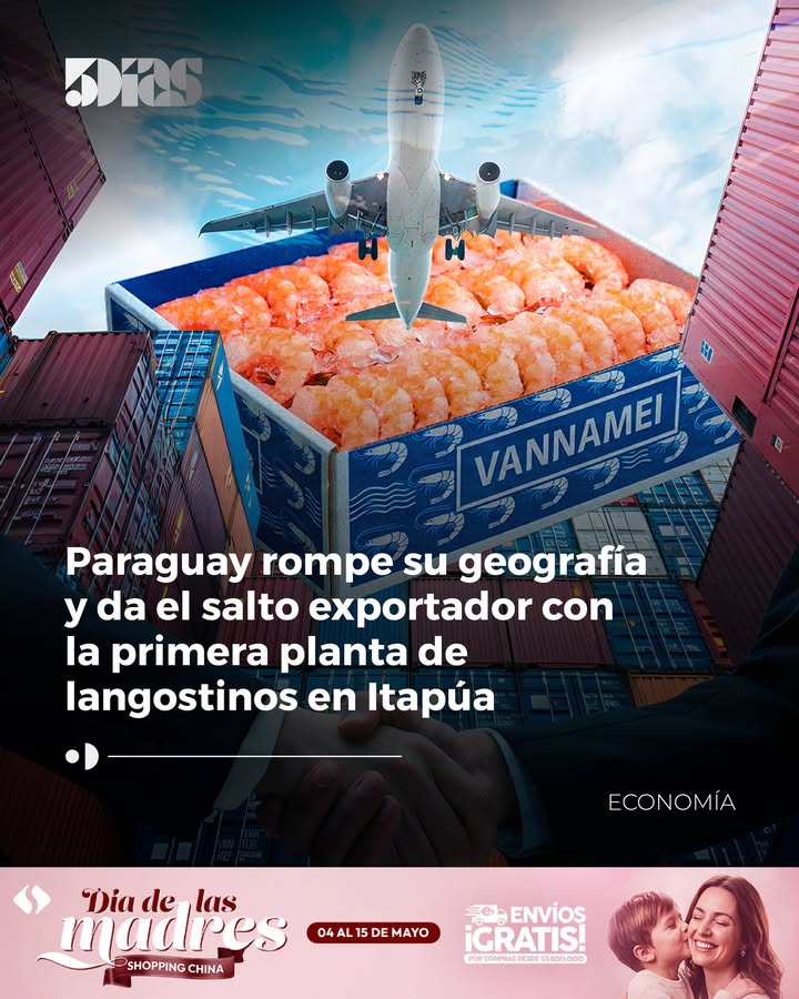 5Días tweet media