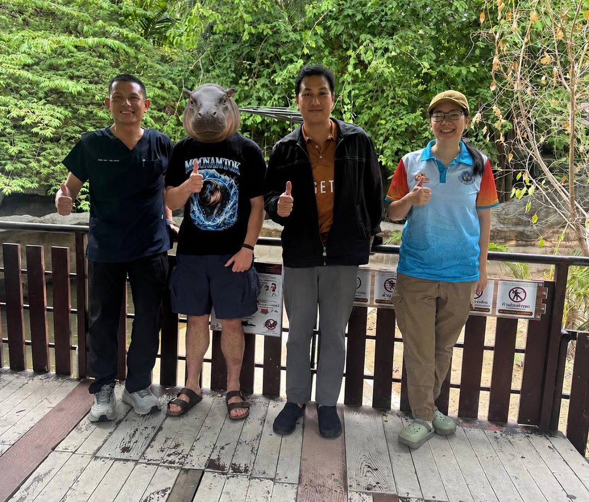MooNamTokPage's tweet photo. Went back to the zoo today, this time with a translator, and got the chance to speak with some of the leadership team 🦛

honestly, it went even better than expected.

they were super open, welcoming, and excited about the idea of helping MooNamTok become as famous as MooDeng.

we talked about content, community support, and how this little legend could turn into a global sensation.

the leadership team will discuss my support proposal internally and get back to me early next week, when I get to meet the main director of the zoo.

ofc I rocked the $MOONAMTOK shirt and got more content for yall too.

this story is just getting started.

position accordingly.
