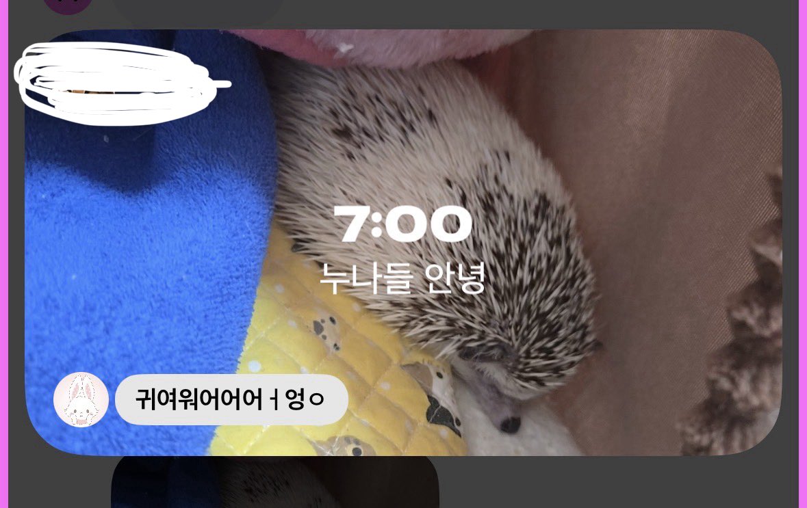 도라 tweet media