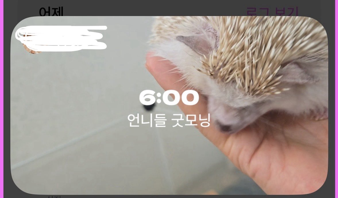 도라 tweet media