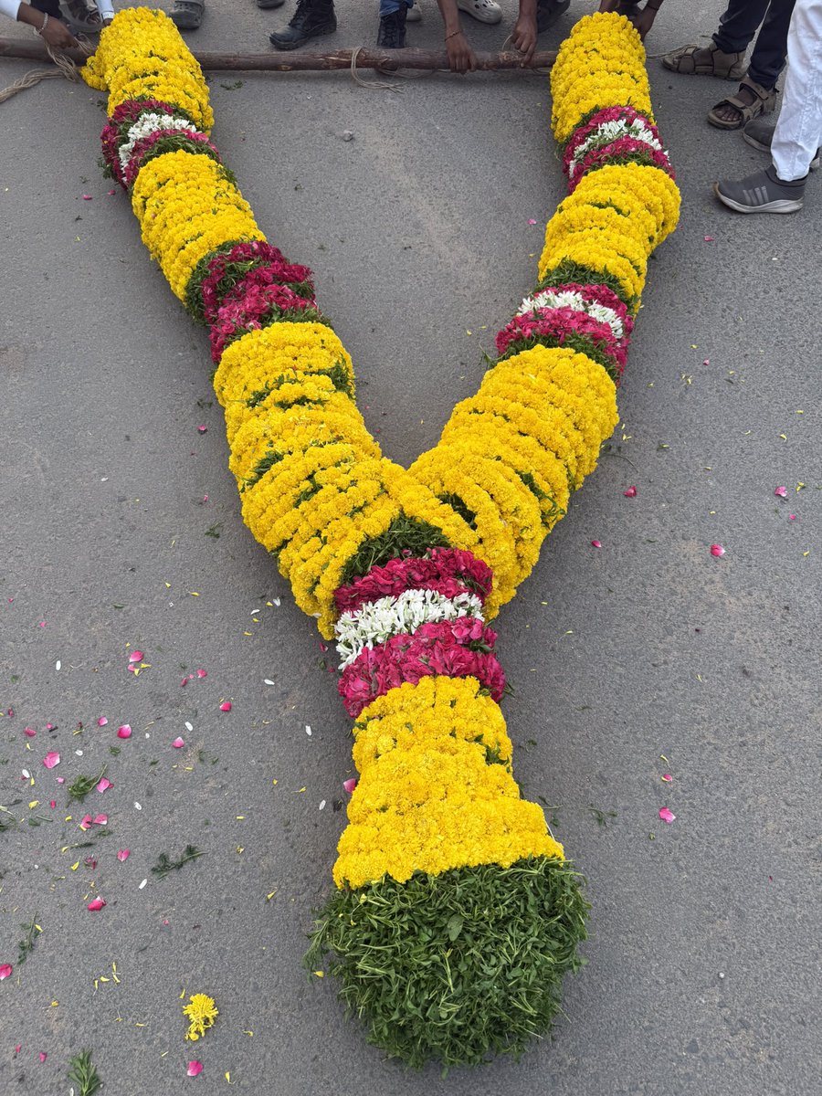 PothineniFc's tweet photo. Gajamala Preparation in Full Swing

RAPO BIRTHDAY Celebration on Full Swing 🤙🏻

@ramsayz #HappyBirthdayRAPO https://t.co/ZNrQW1nQcp