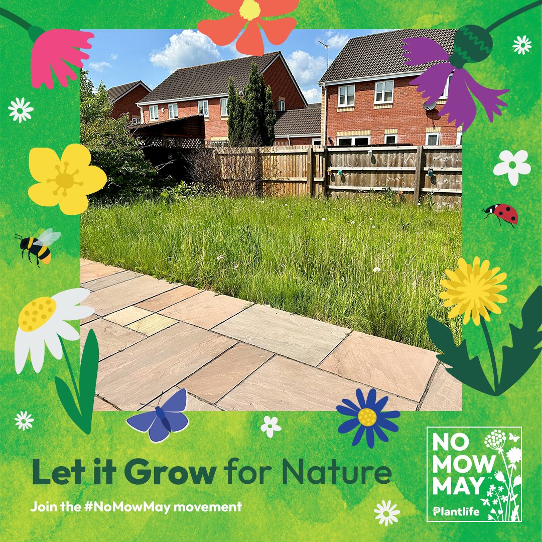 FoDDC's tweet photo. Do more by doing less! No Mow May is one of the easiest ways you can help the environment 🌱. 

Simply hold off on mowing your lawn or leave selected parts of your garden to grow wild and you'll help give wildlife the best start to summer 💚.
https://t.co/MoCLiEQ9fV https://t.co/EGunR3peEn