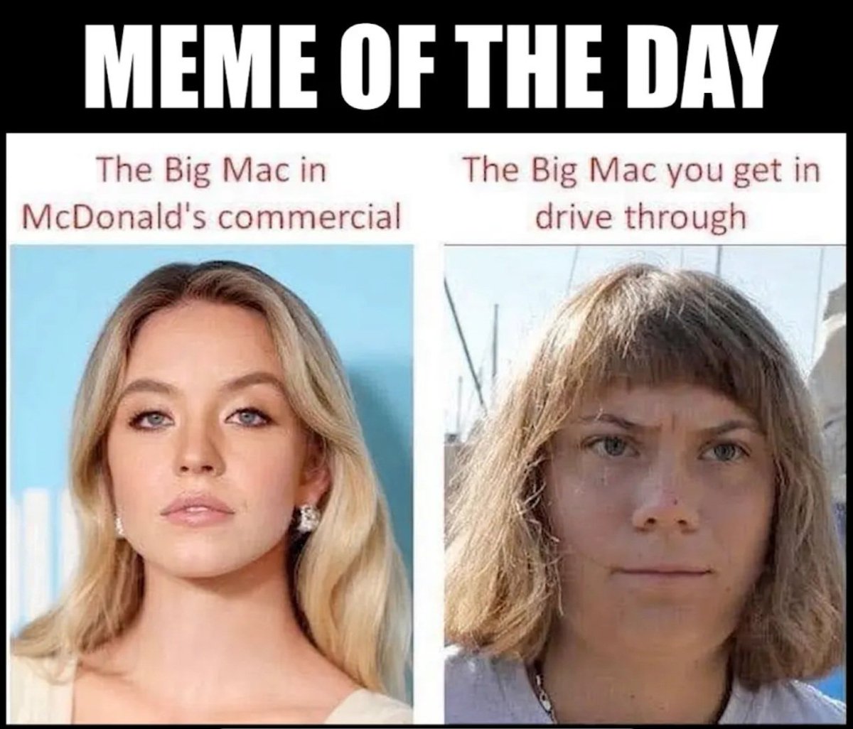 Brian K 🏴‍☠️🇺🇲 tweet media