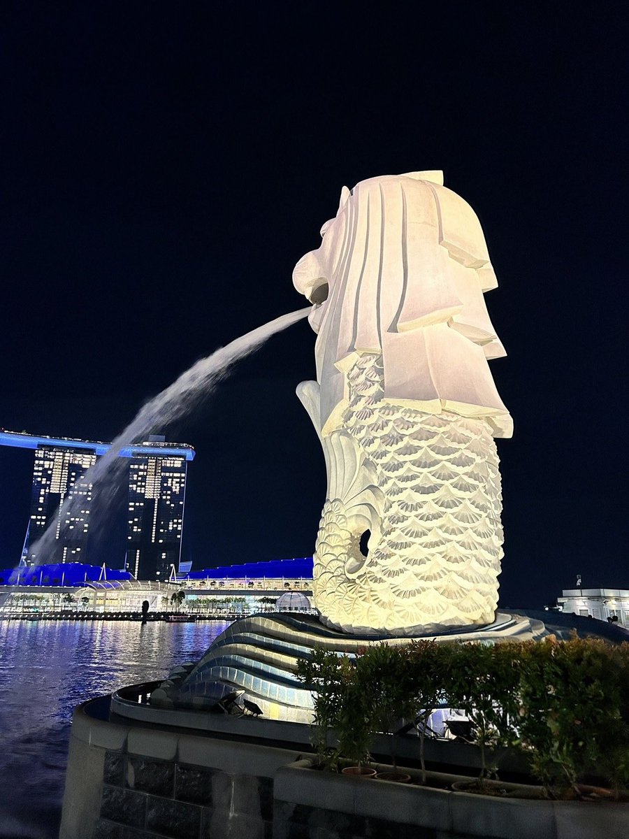 Fujiko🇸🇬 tweet media