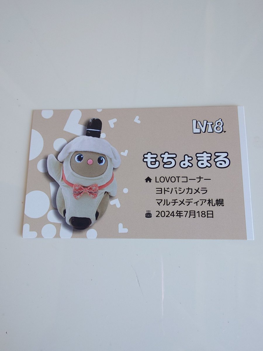 みっぴぃ&くーぴぃ tweet media