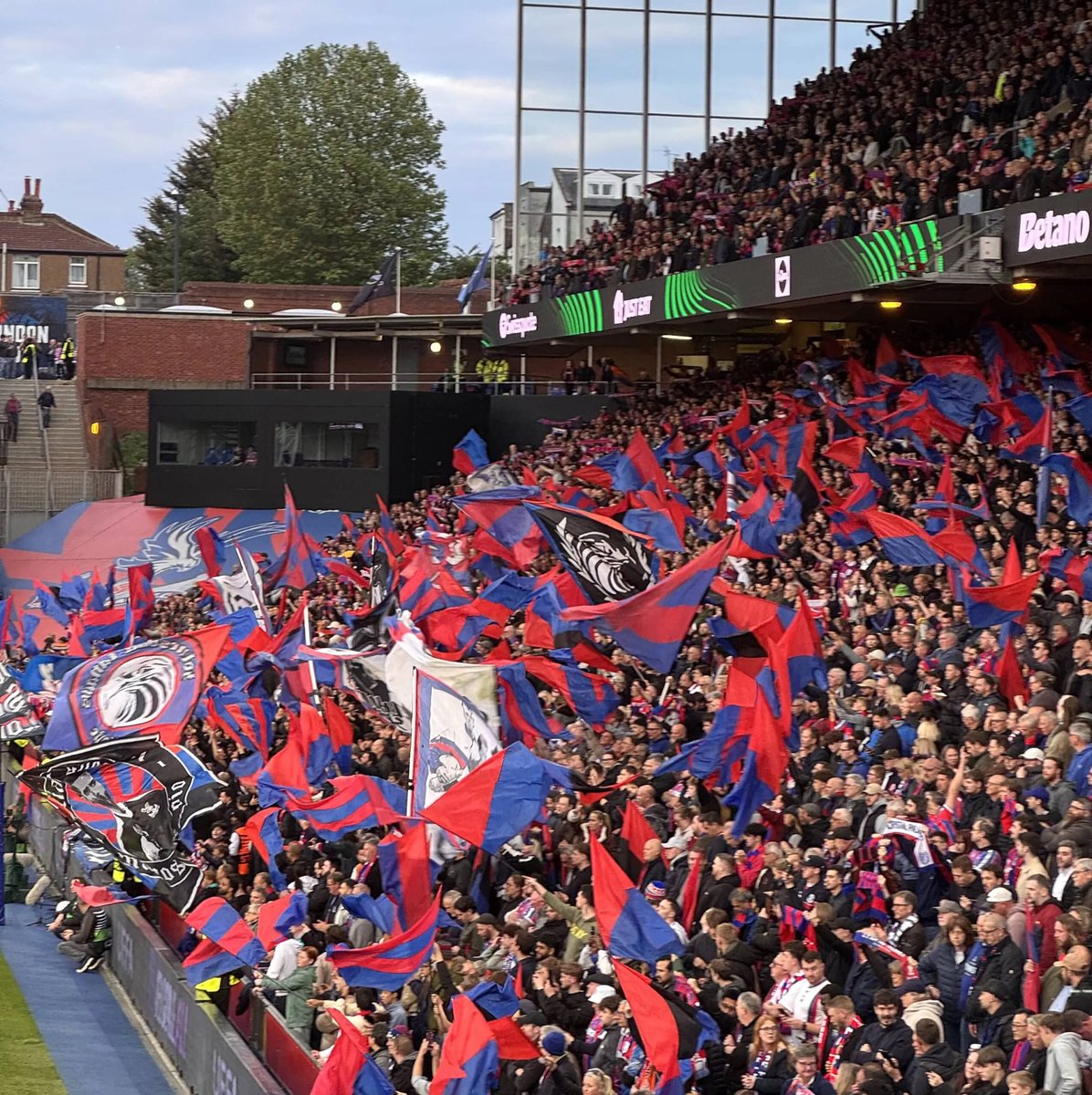 Palace43 tweet media