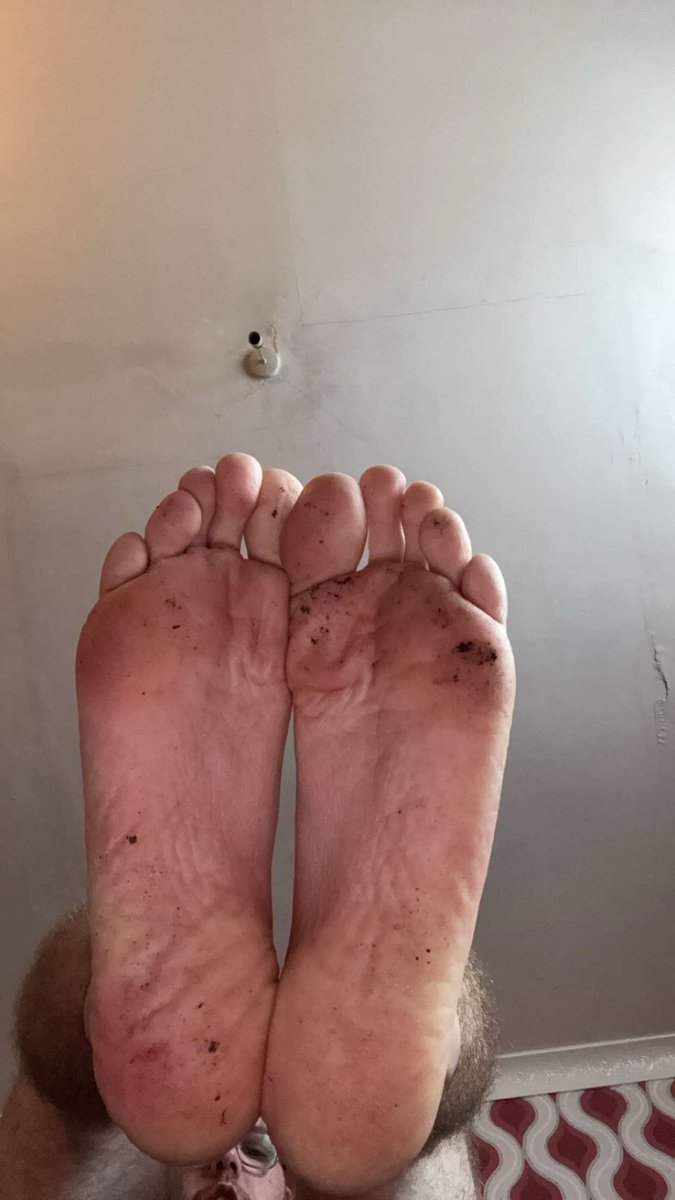 masterj255's tweet photo. Get the dirt of fags https://t.co/vnlJDSqu7P
