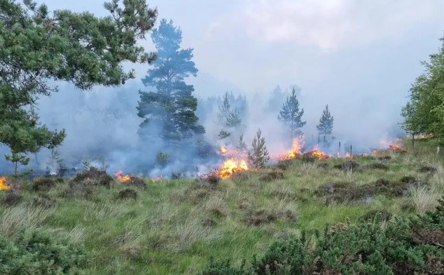Moorland Association tweet media