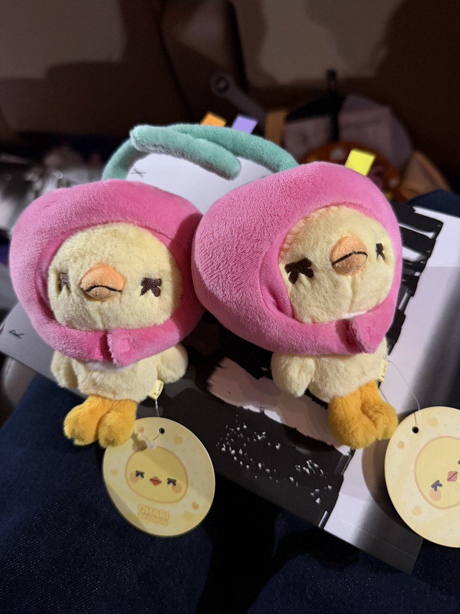 말랑세니☁️🧡 tweet media